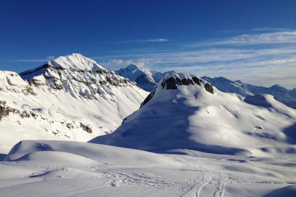 Apartmán Eden Roc Grand Massif Les Carroz d'Araches Exteriér fotografie